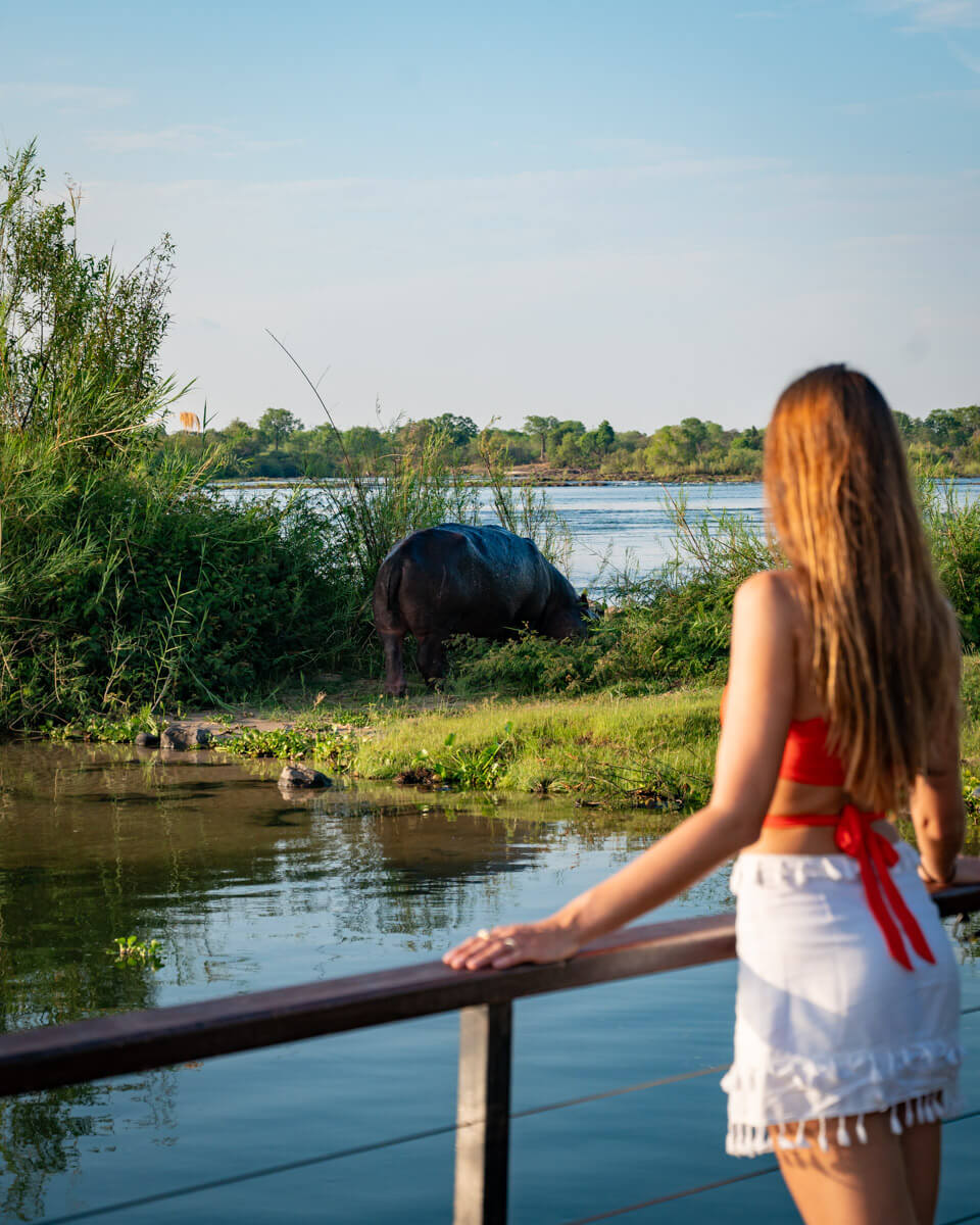 girl overlooking the river and a hippo at the Royal Livingstone Hotel in Zambia