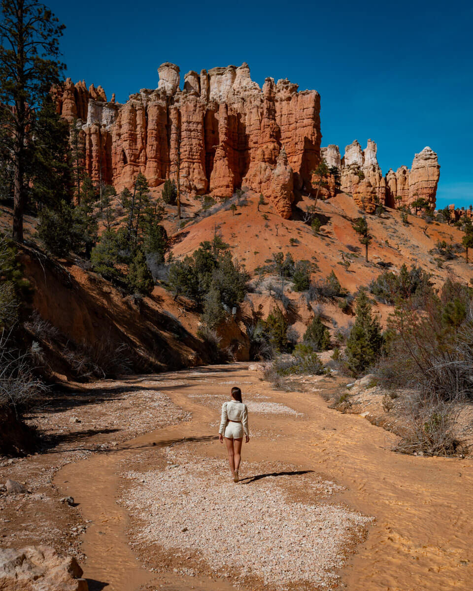 walking in front of the unique scenery of the Bryce Canyon National Park in Utah